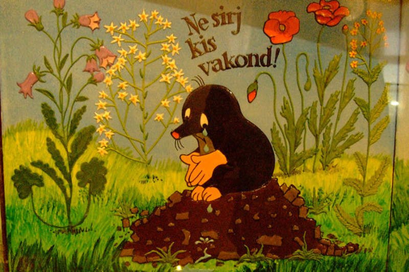 Nie płacz Krecik. Sprawa jeszcze nie jest przesądzona