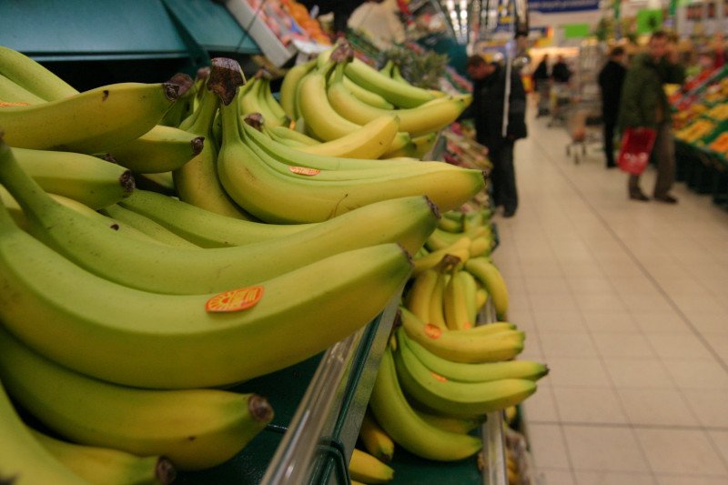 Poprzedni szczep choroby panamskiej zniszczył gatunek bananów Gros Michel.