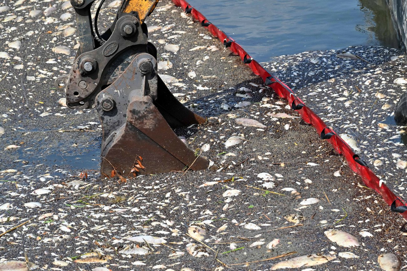 Wadim Tyszkiewicz o katastrofie na Odrze: Jest mi wstyd za Państwo, ale też i za siebie