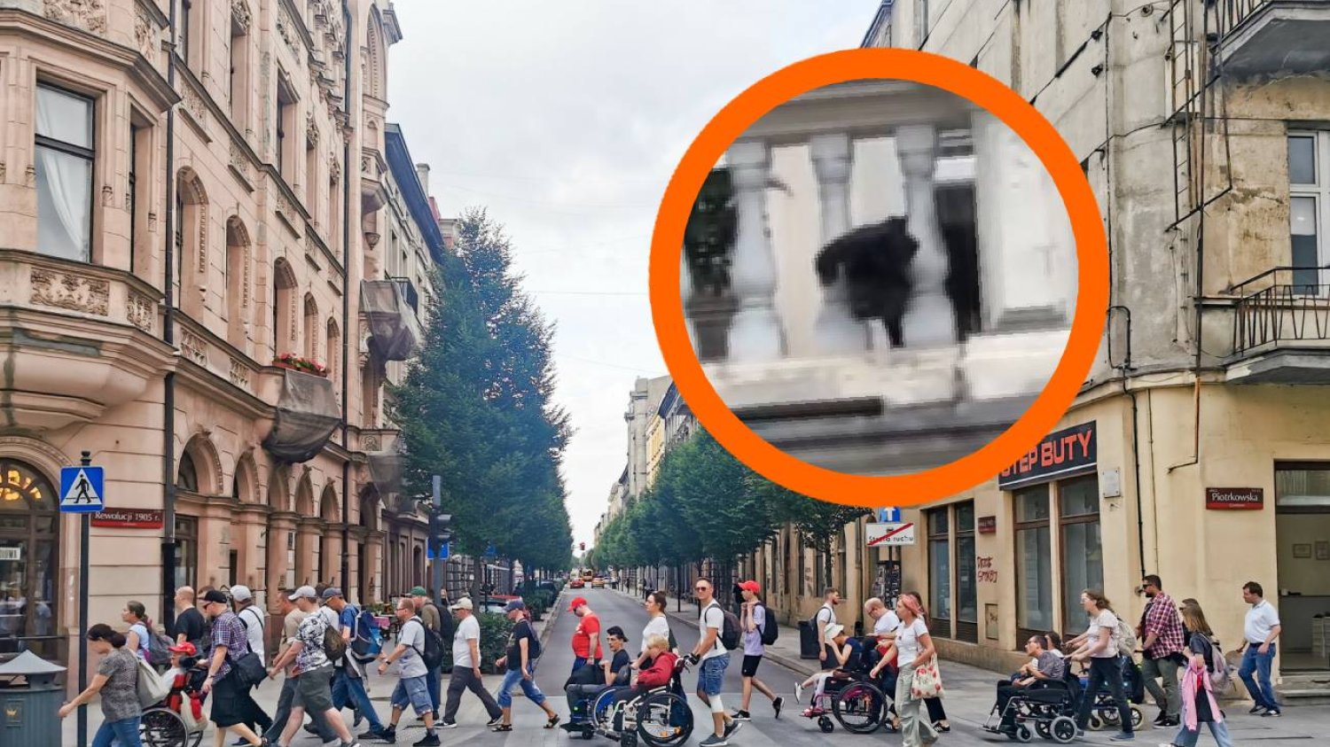 Łódź ma nową gwiazdę. Pies Buba robi furorę w mediach społecznościowych