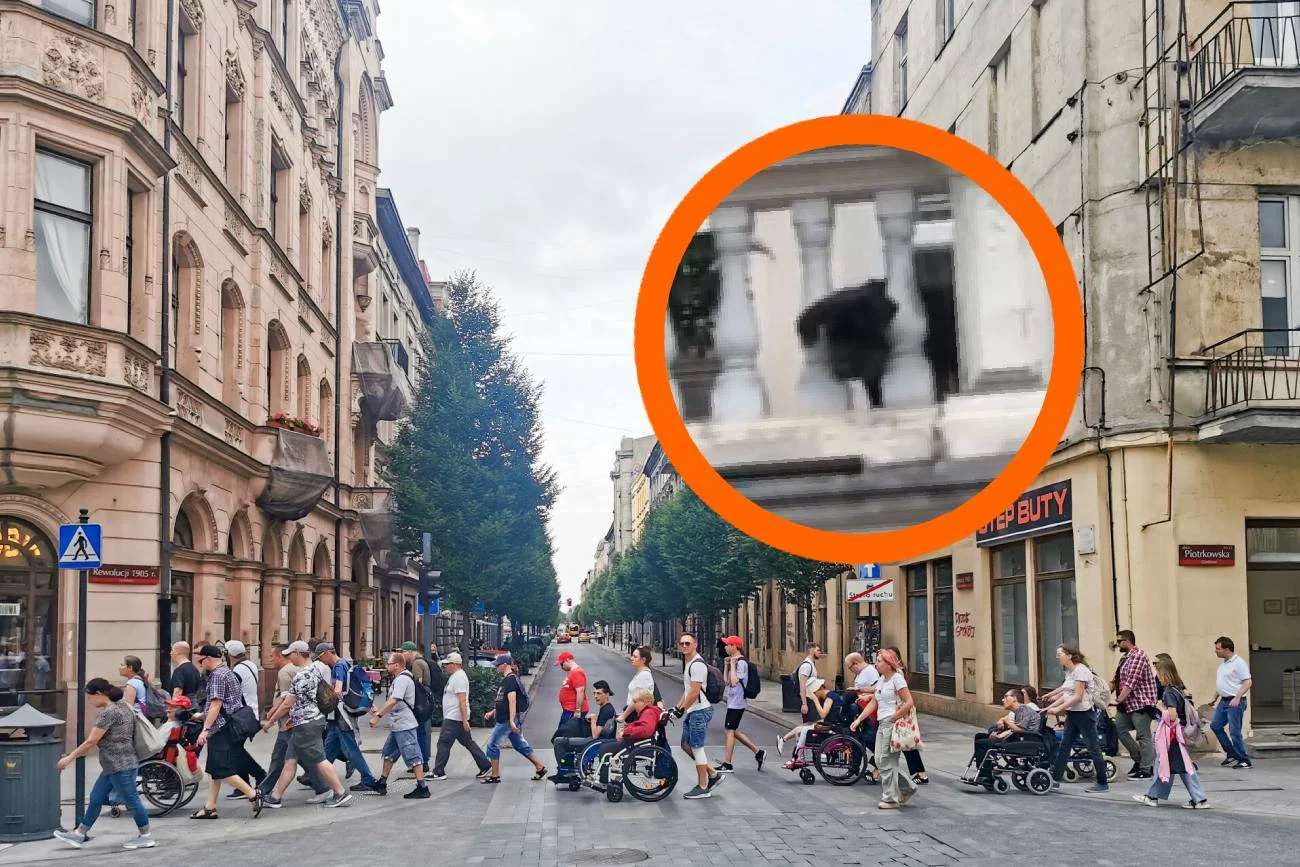 Łódź ma nową gwiazdę. Pies Buba robi furorę w mediach społecznościowych