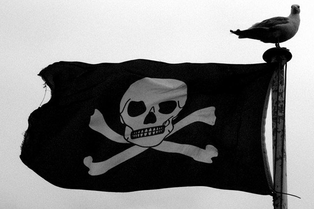 Piractwo w Polsce ma się coraz lepiej