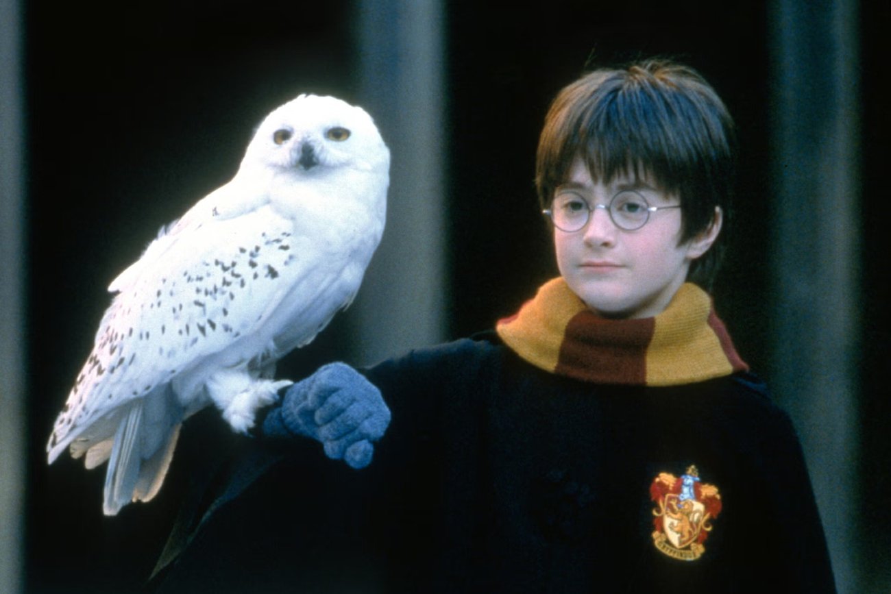 Czy w serialu "Harry Potter" pojawi się więcej wątków z książek niż w filmach?