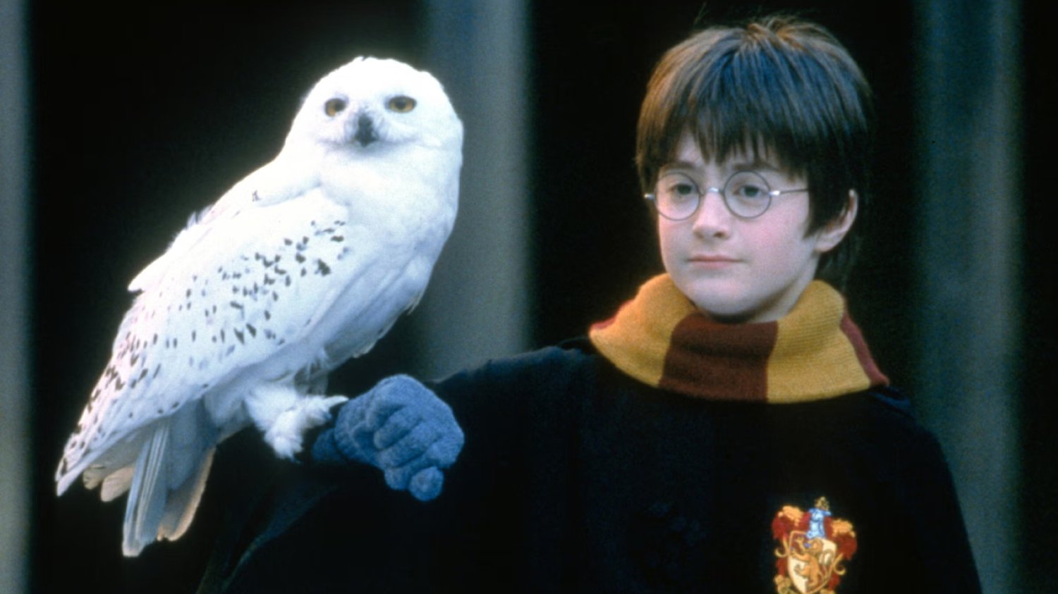 Czy w serialu "Harry Potter" pojawi się więcej wątków z książek niż w filmach?