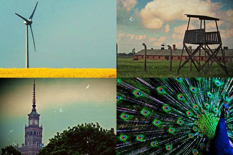 "BIPOLAND" to krótki film, nakręcony przez młodego Amerykanina Matty'ego Browna, pokazujący współczesną Polskę.