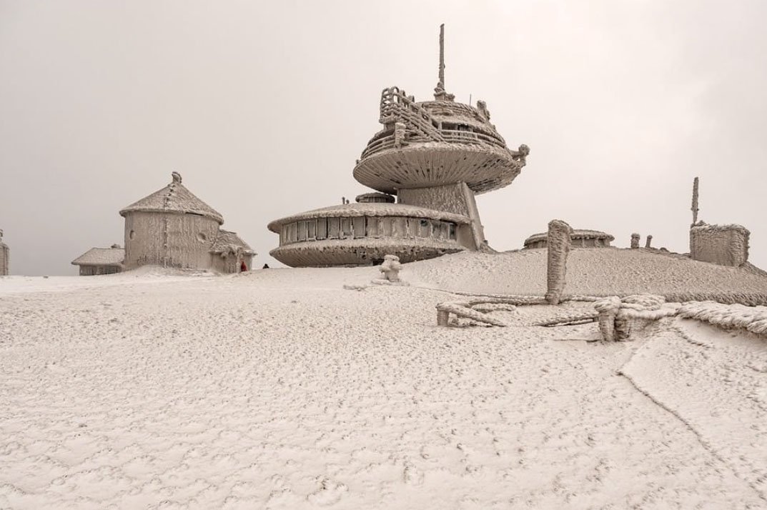 Skąd się bierze żółty śnieg? Wczorajszy opad zaskoczył Polaków