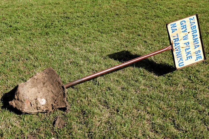 Czy nakazami i zakazami politycy stanowiący prawo są w stanie rozwiązywać realne problemy?