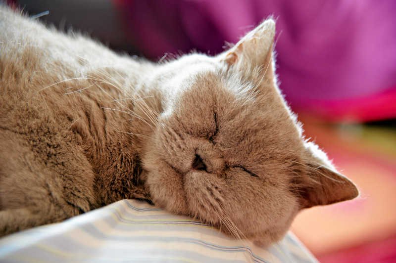 Aby dobrze spać wystarczy trzymać się kilku zasad.