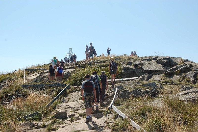 Jak branża turystyczna w Bieszczadach odczuwa czas po pandemii? Twierdzą, że Polacy rzucili się na rezerwacje.