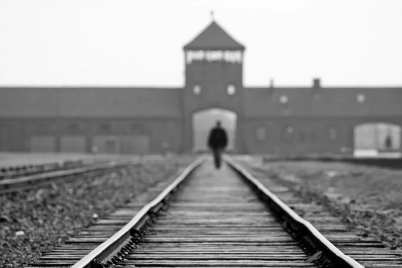 W piekle Auschwitz istniał jeden "Anioł Życia", o którym pisze Nina Majewska-Brown.