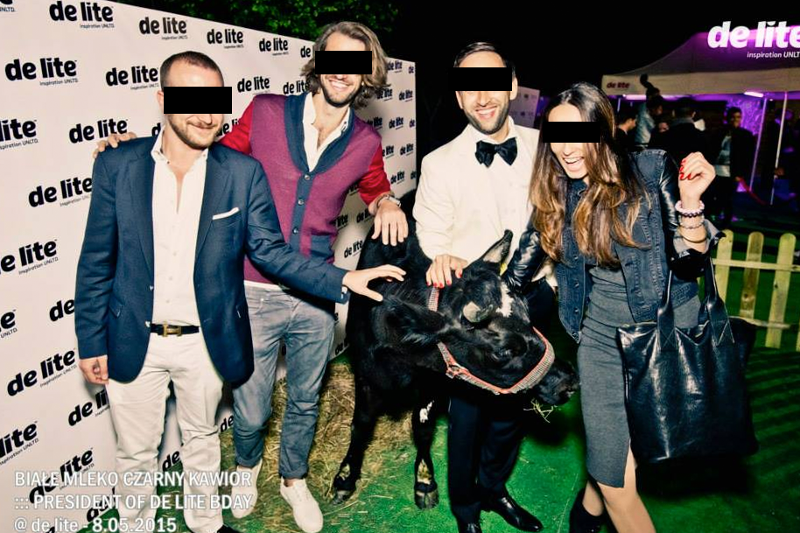 Kub De Lite sprowadził na jedną ze swoich imprez krowę Matyldę.