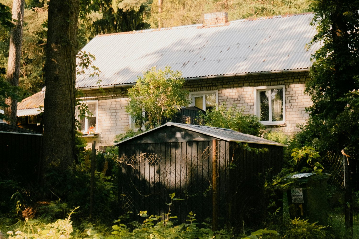 Szopa na narzędzia na działce. Zasady