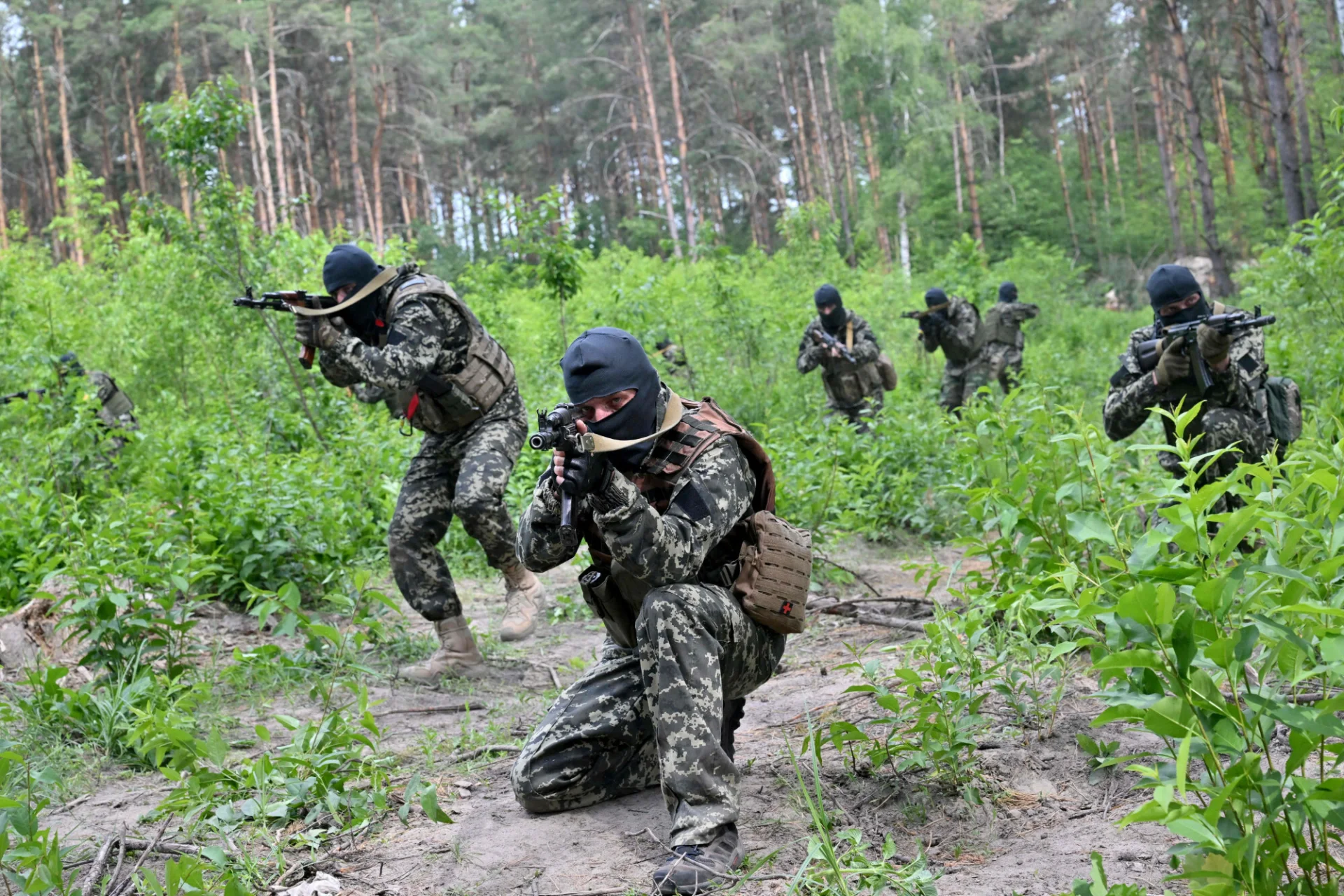 Na Ukrainie rodzi się partyzantka. Na Ukrainie rodzi się partyzantka