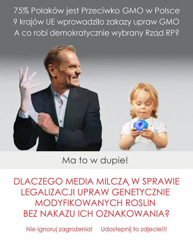 Internauci twierdzą, że w sprawie GMO premier Donald Tusk ma zdanie Polaków w... głębokim poważaniu.