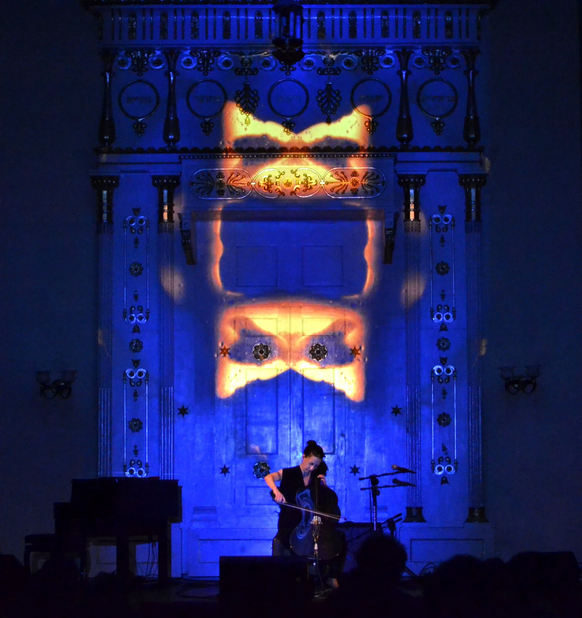 Julia Kent | X Międzynarodowy Festiwal Ambientalny