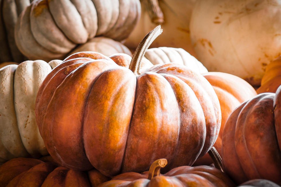 Dynia to bogactwo smaku i witamin!