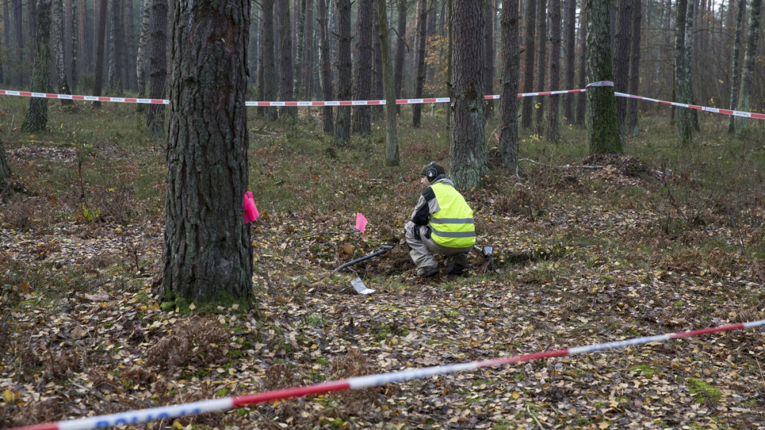 W Legnicy znaleziono poćwiartowane ciało kobiety.