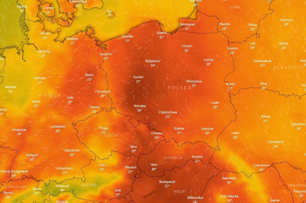 Upały będą dokuczać Polakom. Temperatura będzie w niektórych miejscach wyższa aż o 12 stopni Celsjusza w porównaniu do średniej wieloletniej.