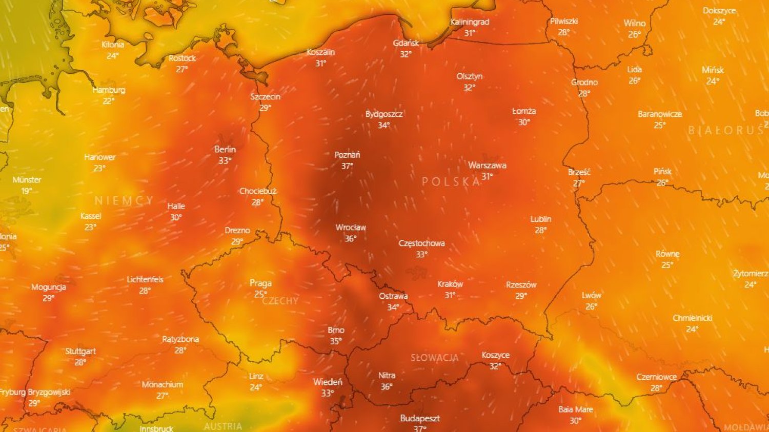 Upały będą dokuczać Polakom. Temperatura będzie w niektórych miejscach wyższa aż o 12 stopni Celsjusza w porównaniu do średniej wieloletniej.