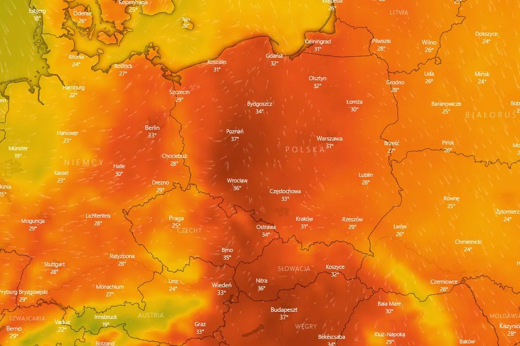 Upały będą dokuczać Polakom. Temperatura będzie w niektórych miejscach wyższa aż o 12 stopni Celsjusza w porównaniu do średniej wieloletniej.