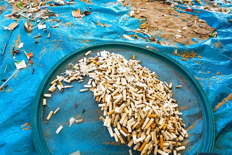 Cigarette Butt Pollution Project walczy o to, aby podczas akcji sprzątania plaż znajdowano tam jak najmniej niedopałków.