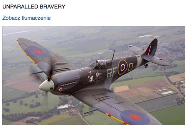 Nacjonalistyczna partia Britain First przypomniała o odwadze polskich pilotów