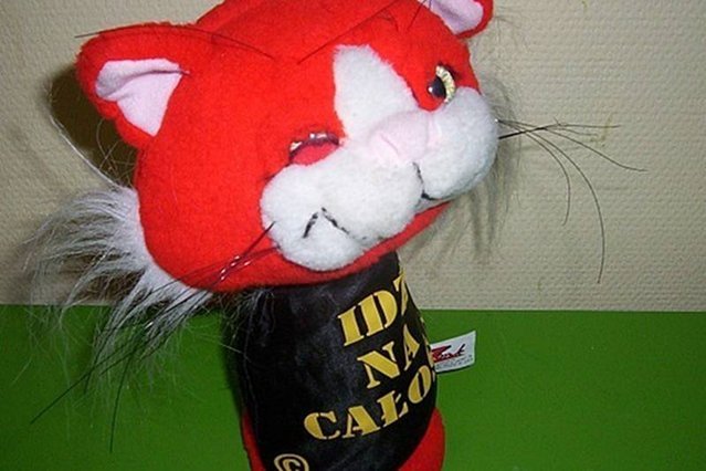 "Replika" słynnego kota "Zonka".