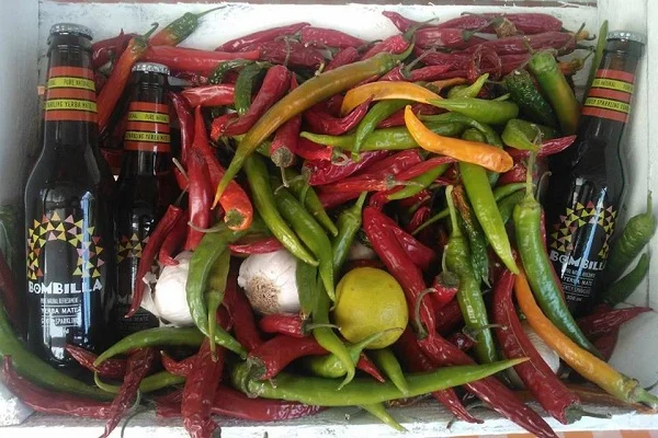 zdj. dzięki uprzejmości Jakie Taco