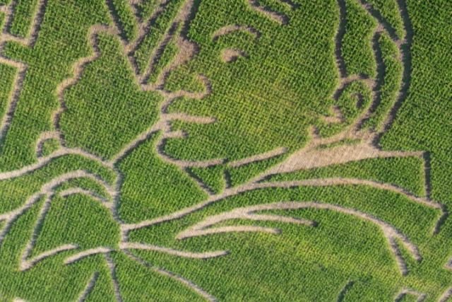 Świecie, pobij to! - w świętokrzyskich Kurozwękach powstał największych portret Jana Pawła II na świecie.