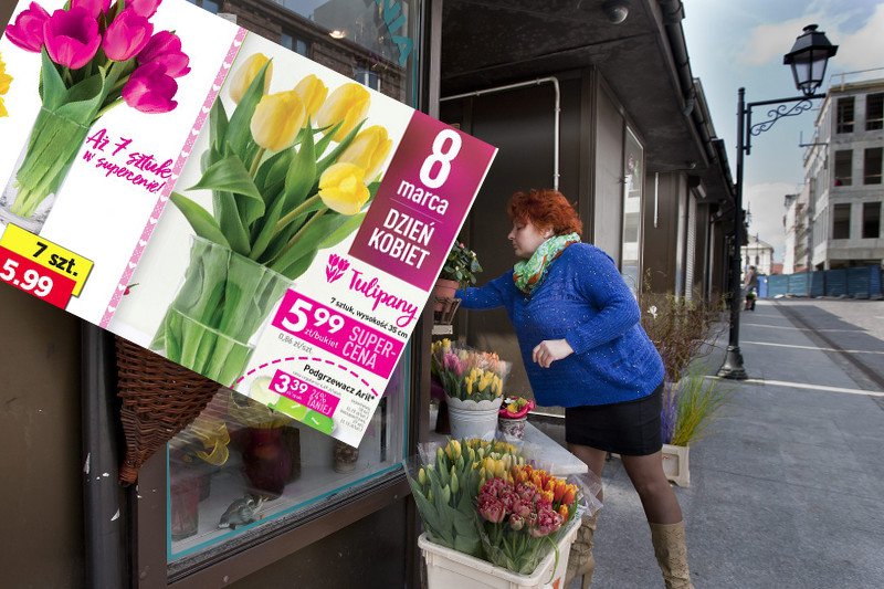 Promocyjny bukiet z marketu "odbiega jakością" - ostrzega plantatorka tulipanów.