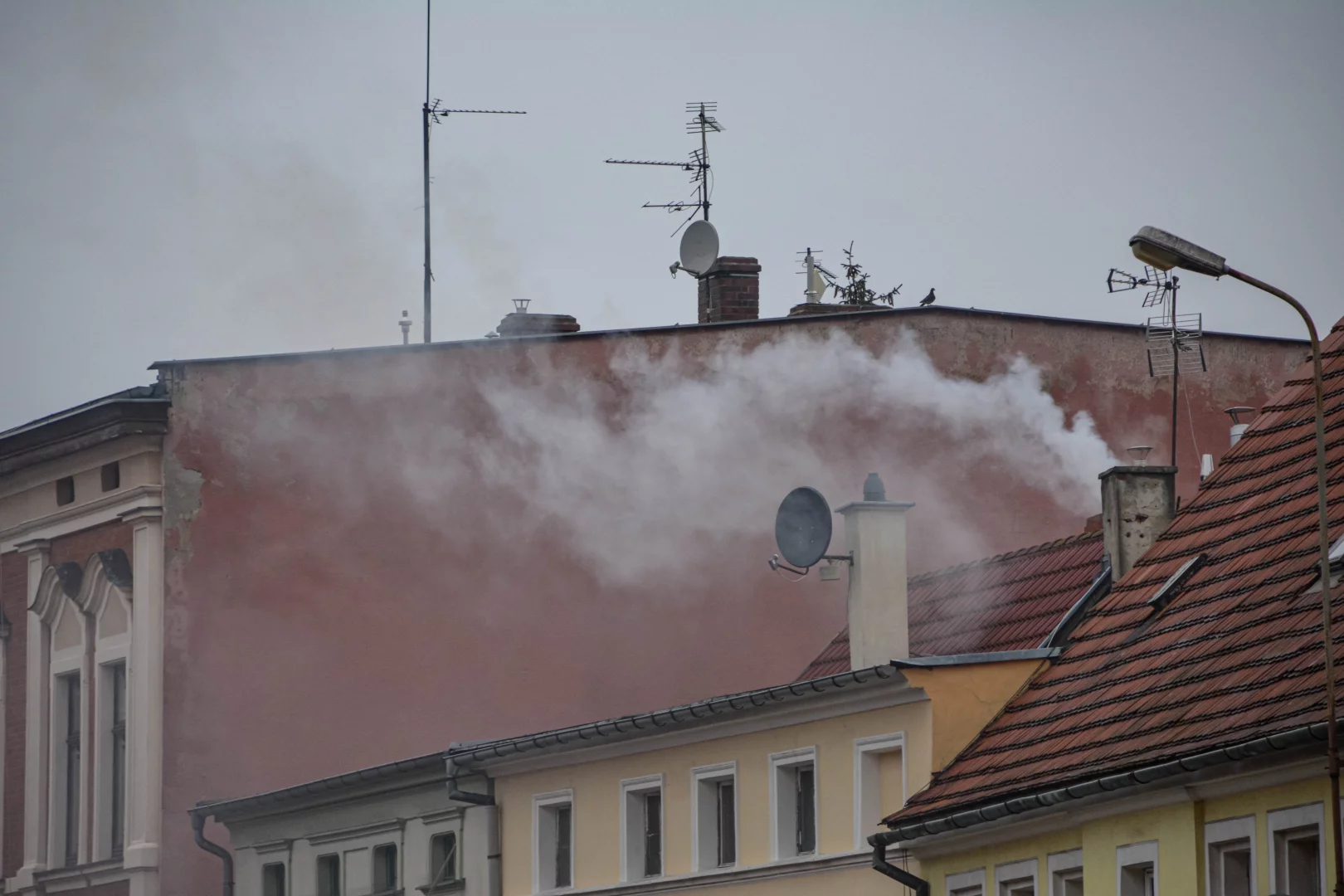 Smog szkodzi nie tylko płucom. Najnowsze badania są dla nas alarmujące