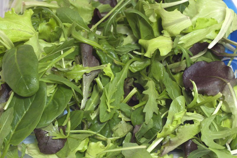 Sałatę paczkowaną można kupić w każdym supermarkecie i w sklepach osiedlowych. Jej zaletą jest to, że jest dostępna przez cały rok.