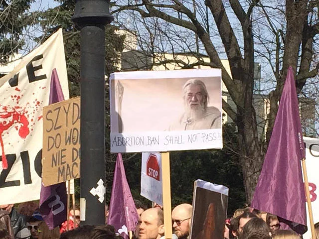 Manifestacja pod Sejmem.