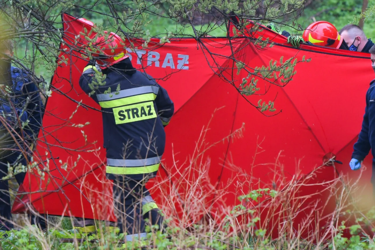 Zdjęcie poglądowe