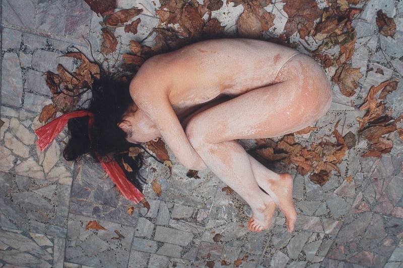 Miho Iwata " Nogi gołębia"