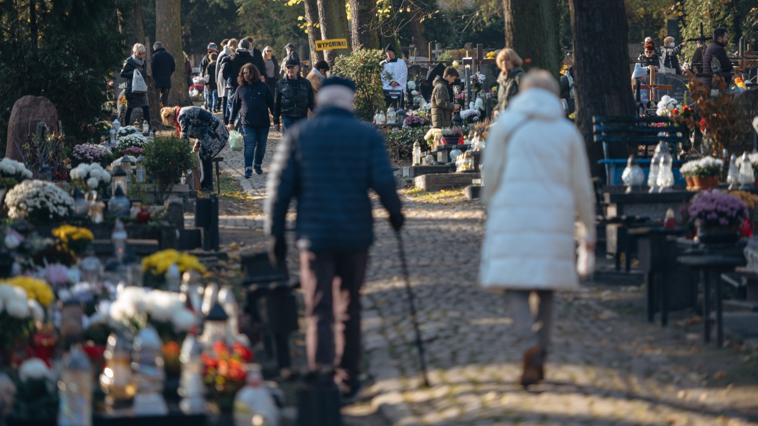 Jest nowa prognoza na Wszystkich Świętych. Różnica temperatur wyniesie 10 stopni