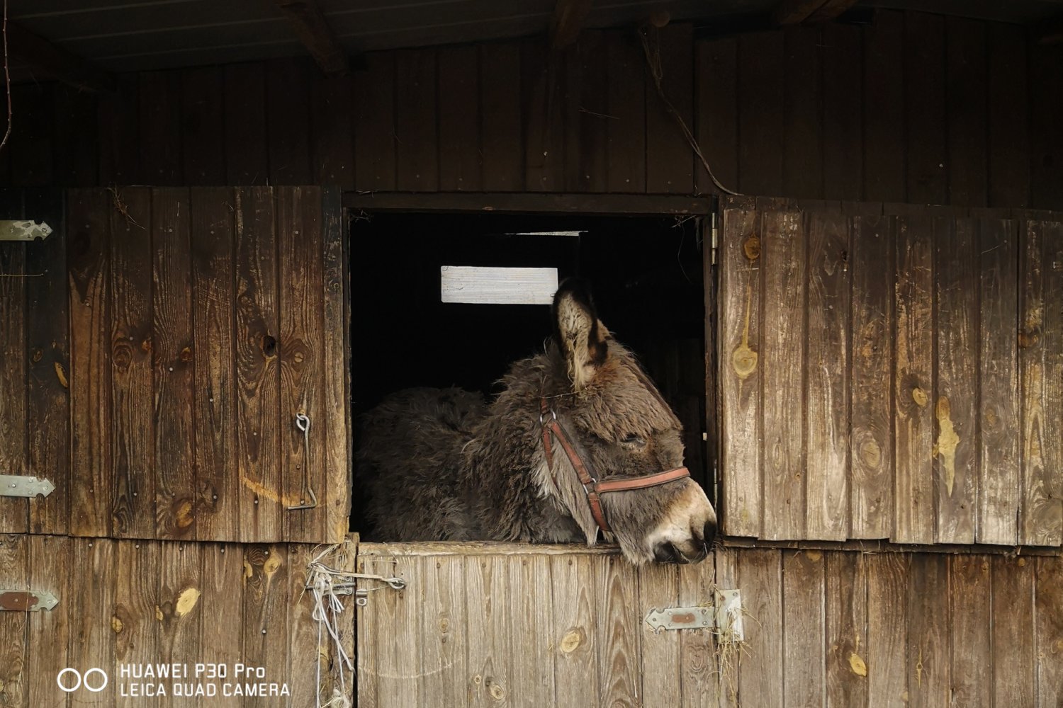 Zdjęcie wykonane smartfonem Huawei P30 Pro.
