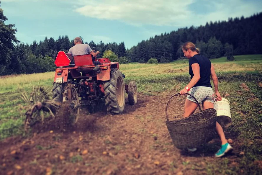 Justyna Kowalczyk ma ręce pełne roboty także latem.