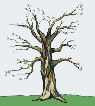 Kompleksy nie rosną na drzewach