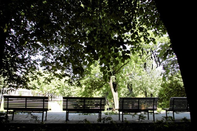 Skwer im. Bohdana Wodiczko fot. Robert Kowalewski/AG