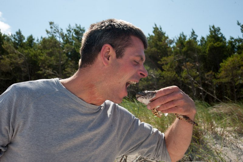 Chef Maciej Nowicki - poszukiwacz smaków współczesnych i historycznych.