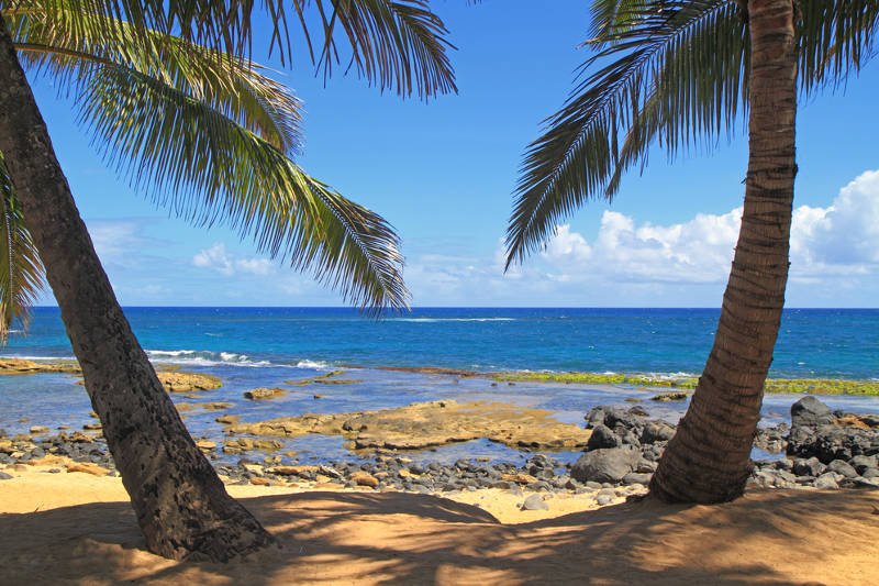 Biznesmen z Francji prowadził firmę z bezludnej [url=http://shutr.bz/18xwlWA]wyspy[/url]. Przez ponad miesiąc