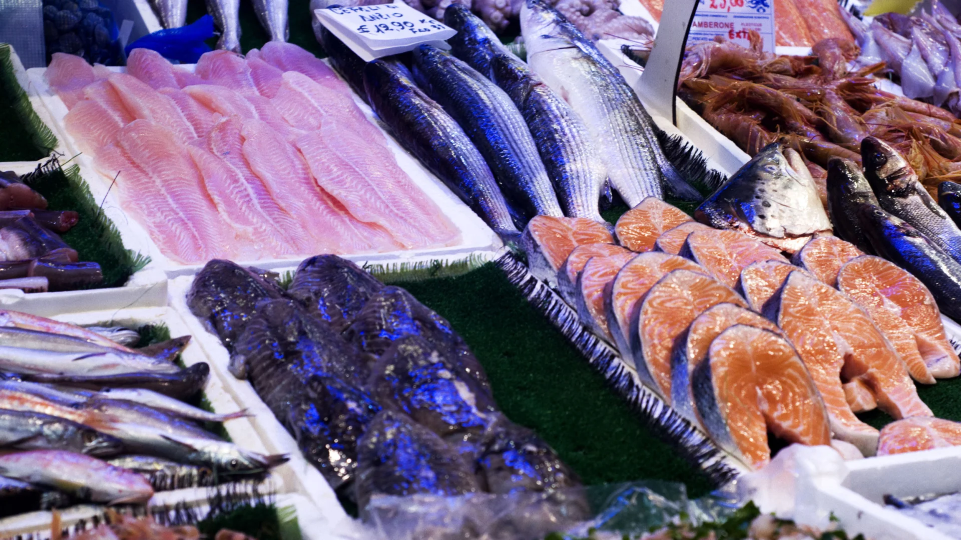 Nie taki łosoś straszny! 8 mało znanych faktów o rybach z marketów