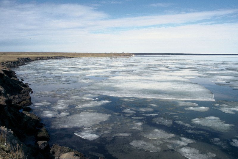 Morze Barentsa, dotąd niedostępne dla eksploatacji ropy naftowej, znalazło się na celowniku koncernów wydobywczych.