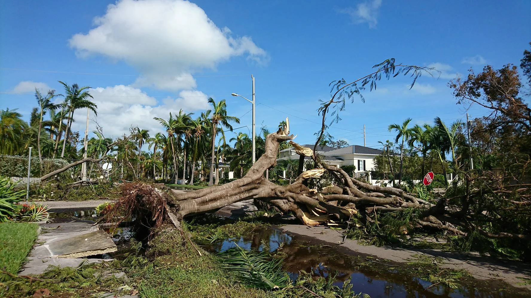 Key West Floryda 2017 po przejściu huraganu Irma