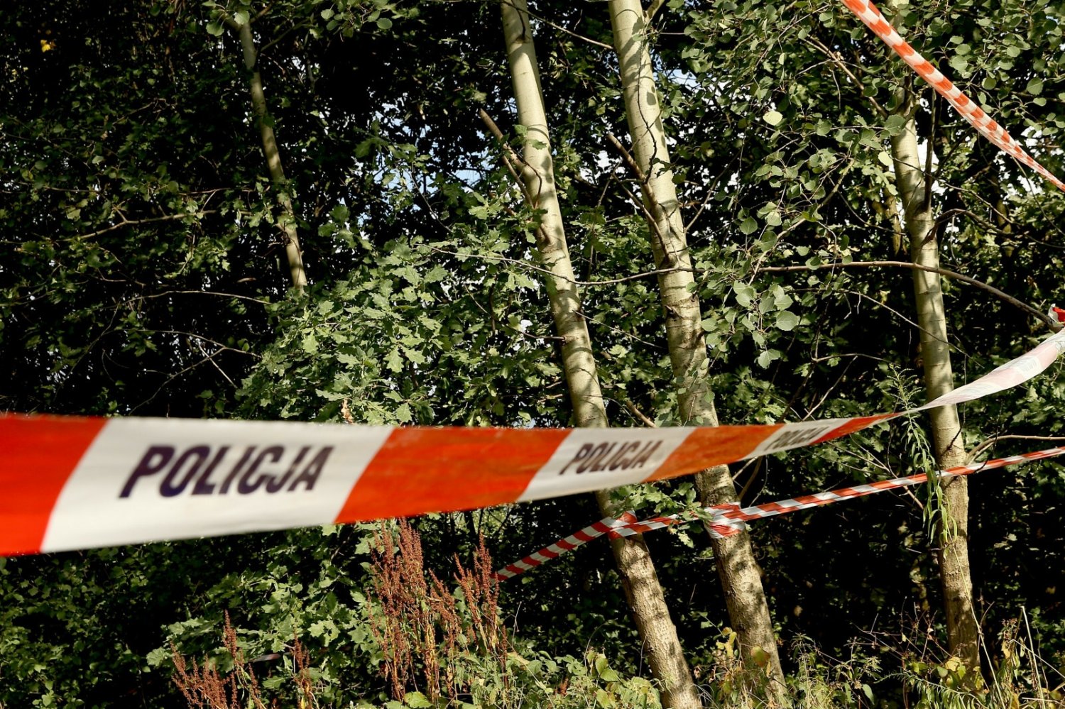 W wieży widokowej w lesie były zwłoki mężczyzny.
