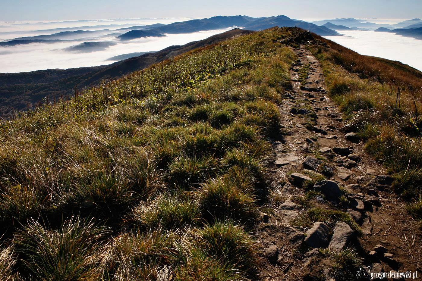 Fot.  Grzegorz Leśniewski / [url=https://www.facebook.com/DzienDobryBieszczady] Facebook Dzień Dobry Bieszczady [/url]