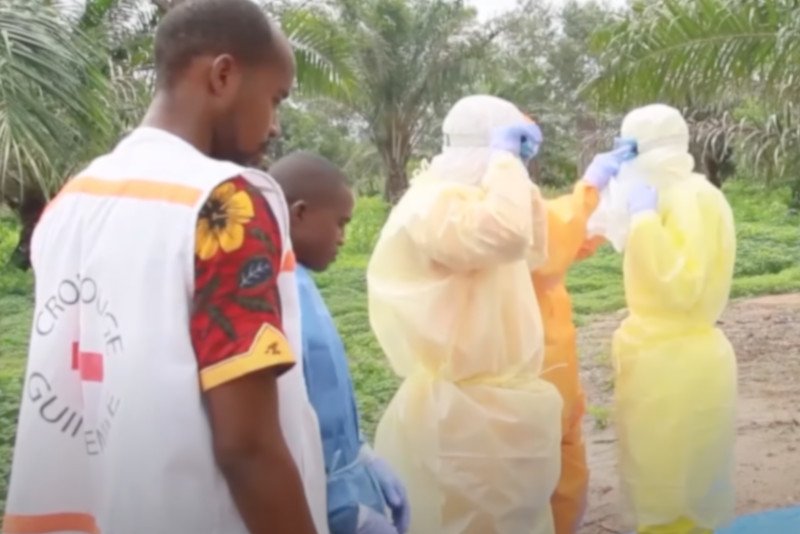 Powrót wirusa ebola w Gwinei. W tym roku zmarły cztery osoby. To pierwsze przypadki śmiertelne od 2016 roku.