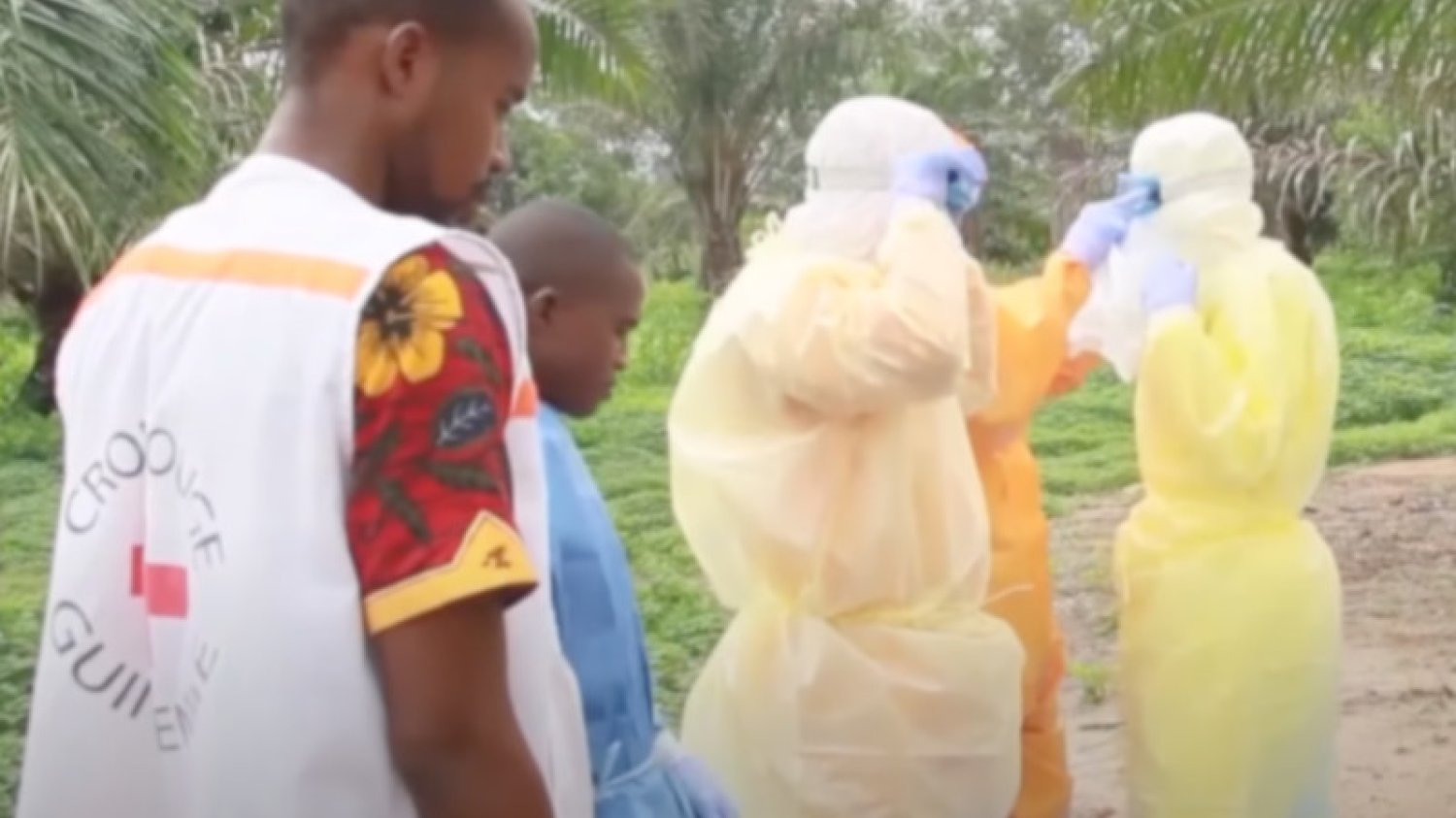 Powrót wirusa ebola w Gwinei. W tym roku zmarły cztery osoby. To pierwsze przypadki śmiertelne od 2016 roku.