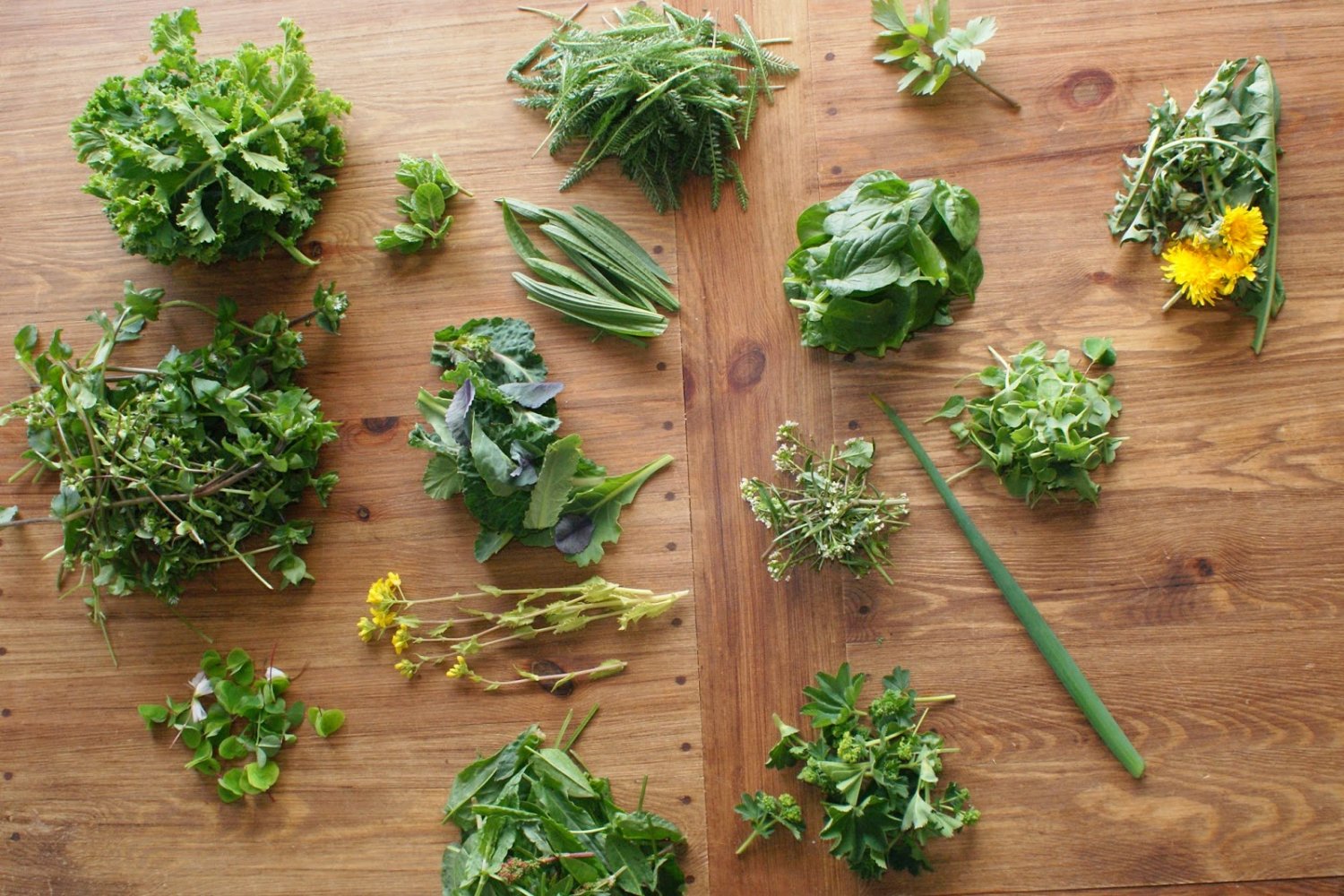 Zbiory "chwastów" dla sałatki